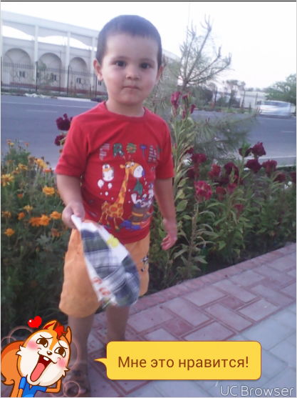 Анушка Ачилова