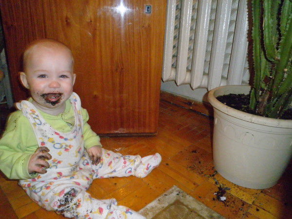 Александр Терентьев