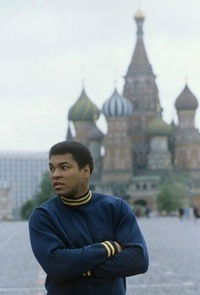 Шамиль Мурзаев