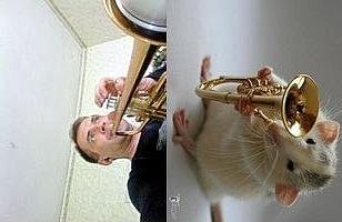 Владимир Патращук