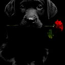 Вова Терещенко