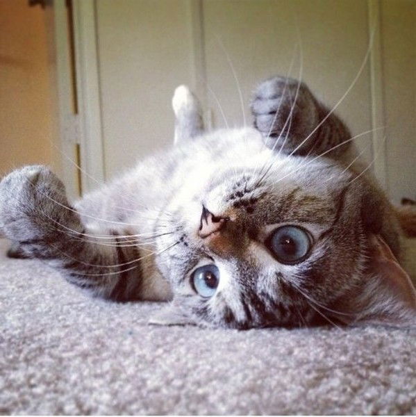 Яна Кутаева