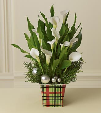 Маргарита Тупикина