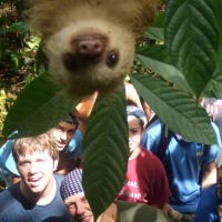 Антон Попов