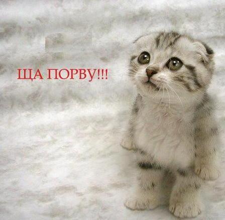 Анна Чалова