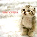 Анна Чалова