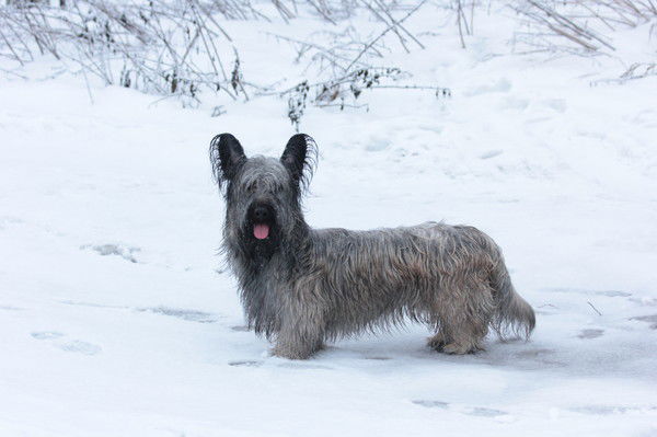 Даша Ильина