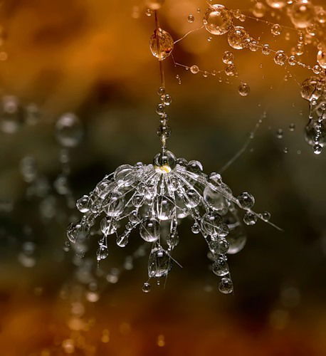 Юля Анашкина