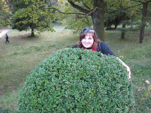 Наталья Степаненко