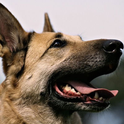 Никита Масалкин