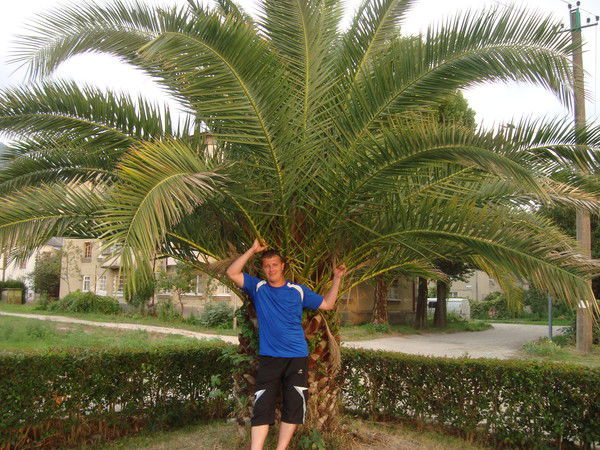 Санёк Бондаренко