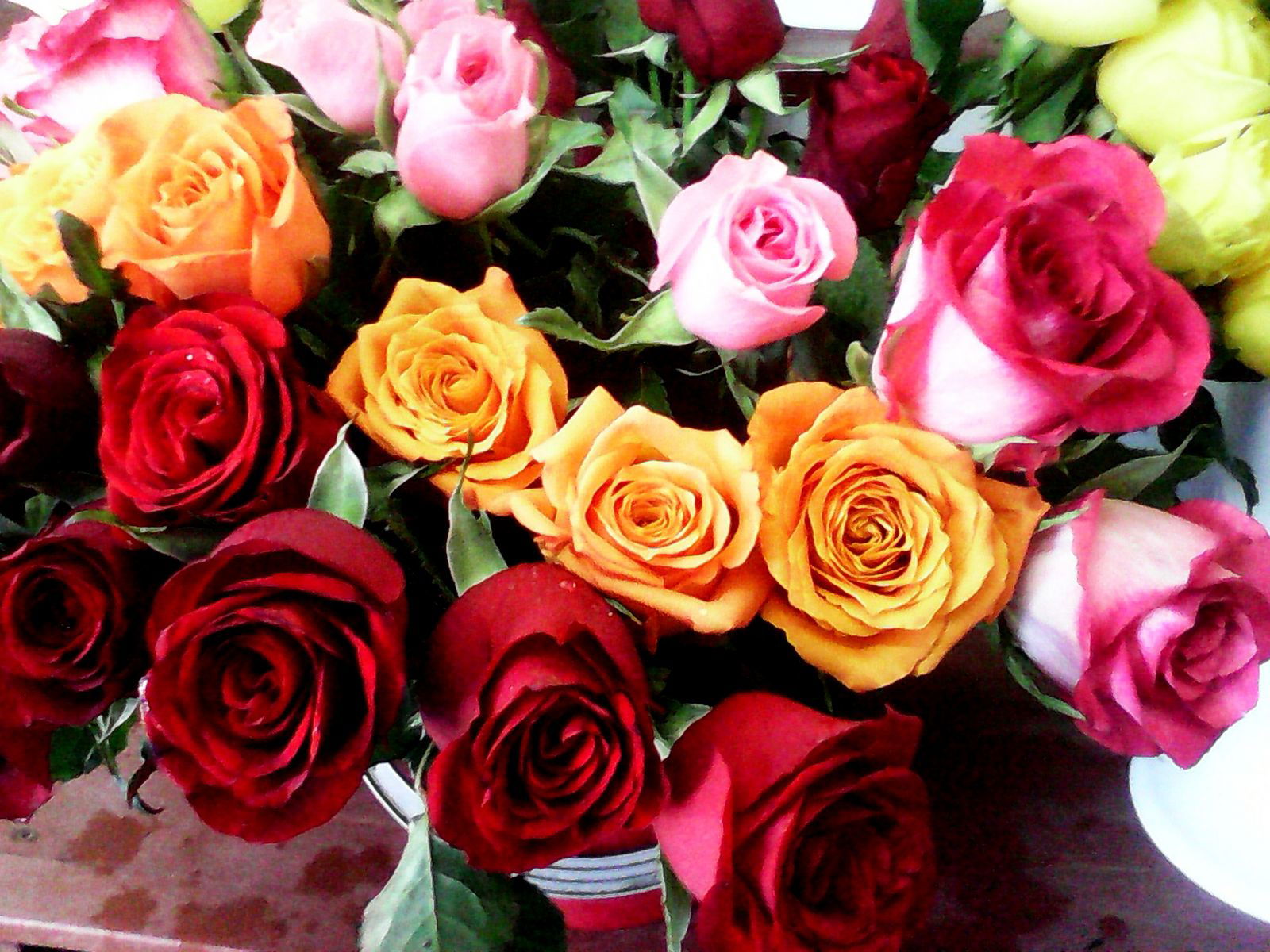 Ирина Иринка