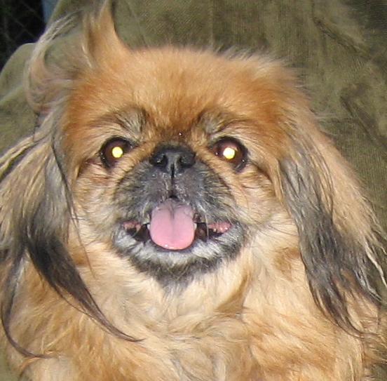 Лариса Букина