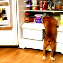 Оксана Польцина