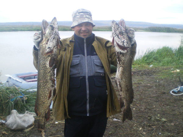 Вадим Королев