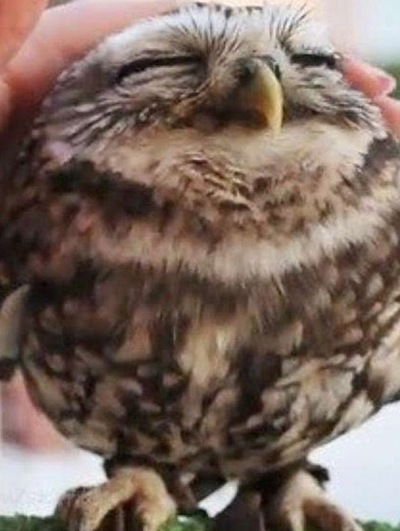 Татьяна Ряжских