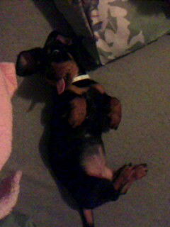 Татьяна Шевченко