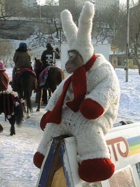 Фёдор Ерохин