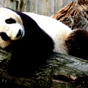 Андрей Сёмкин