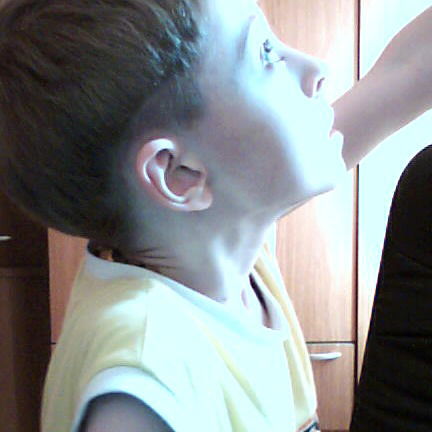 Михаил Моиссев