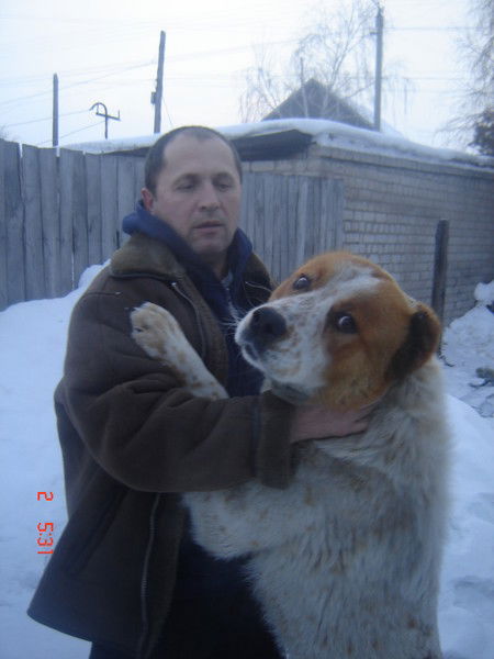 Евгений Семидоцких