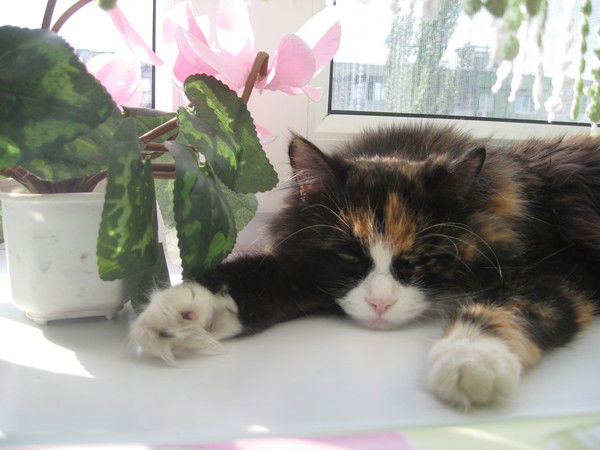 Екатерина ****