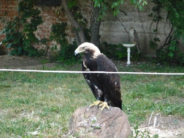 Сергей Тюрин