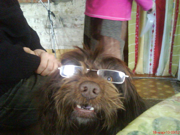 Игорь Дёмин