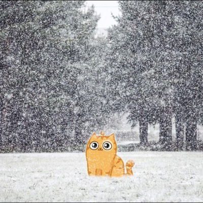 Виктория Шарова