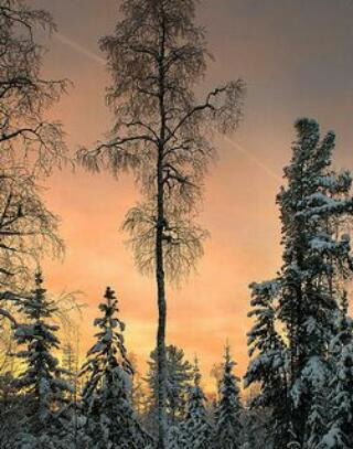 Сергей Салюк