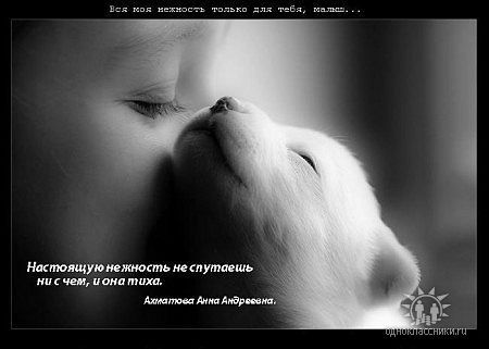 Ксенька Алексеевна