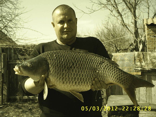 Василий Арефьев