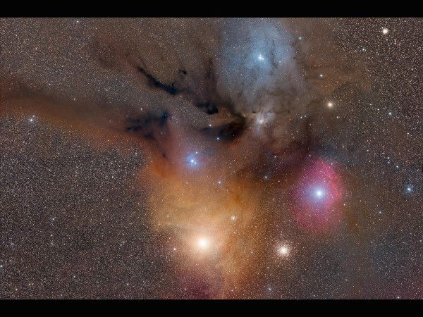 Алена Петрова