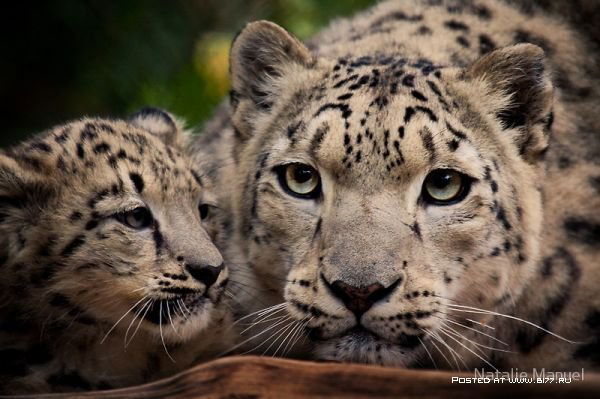 Аскарбек Сапабеков