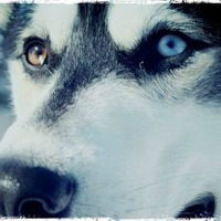 Аделина Агзамова