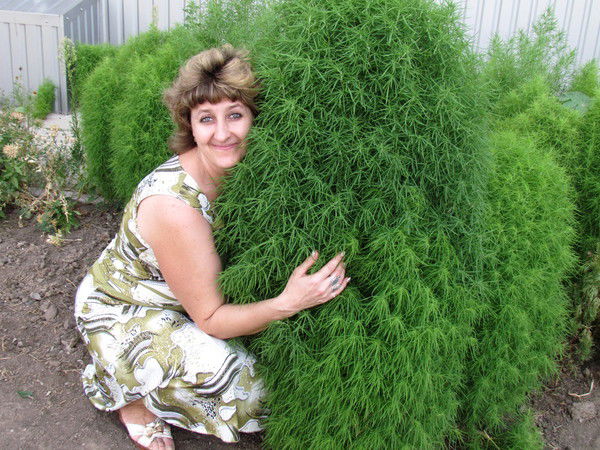 Виктория Новоселова