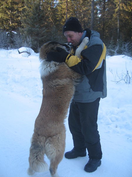 Виталий Колушев