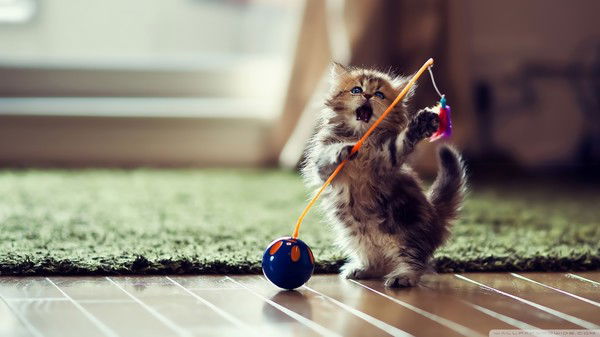 Григорий Лепс