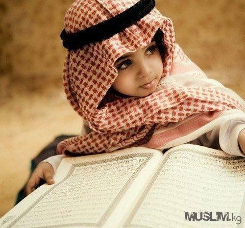 Ruslan.krepeg Ruslan.krepeg