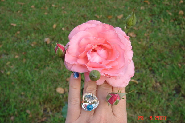 Ольга Патлаенко