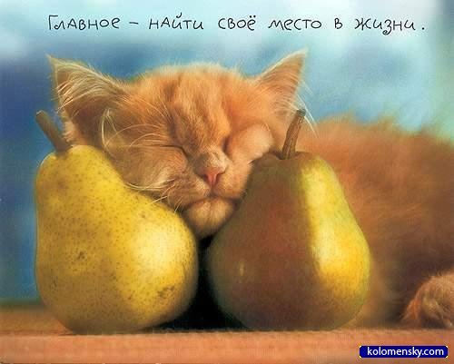 Ольга Назарова