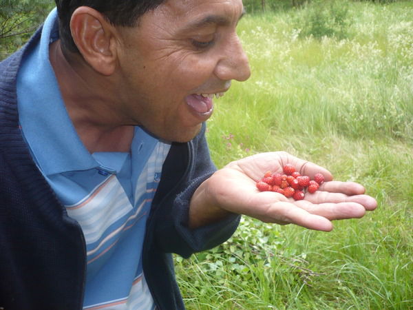 Бяшим Каракулов