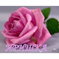 Ирина Янидис