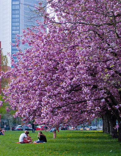 Ирина Шайхиева