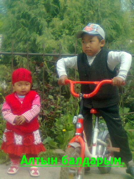 Нурбек Шамшиев