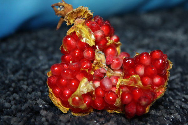 Марина Сергей Дом