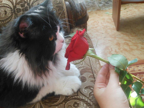 Люся Гудничева