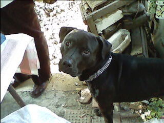 Александр Алябьев