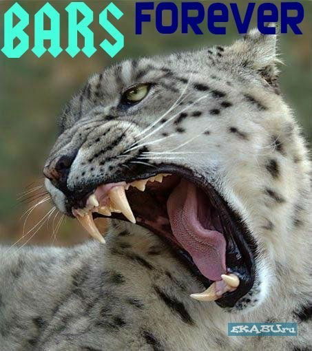 Bars Forever