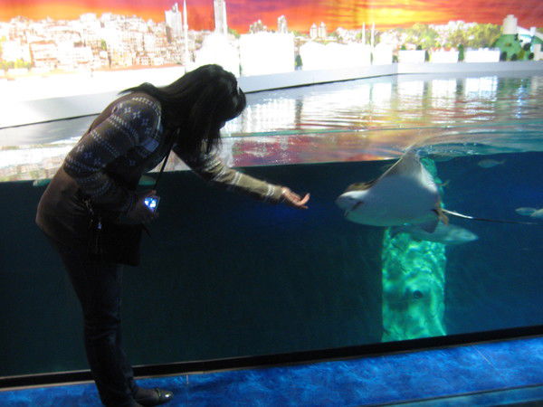 Ардак Черкешбаева